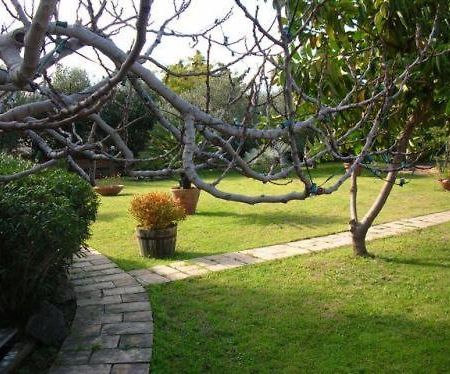 Villa Chiarenza Maison D'Hotes Giardini Naxos Dış mekan fotoğraf