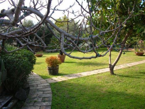 Villa Chiarenza Maison D'Hotes Giardini Naxos Dış mekan fotoğraf